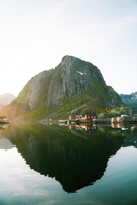 Reinefjorden Sjøhus Apartment in Lofoten