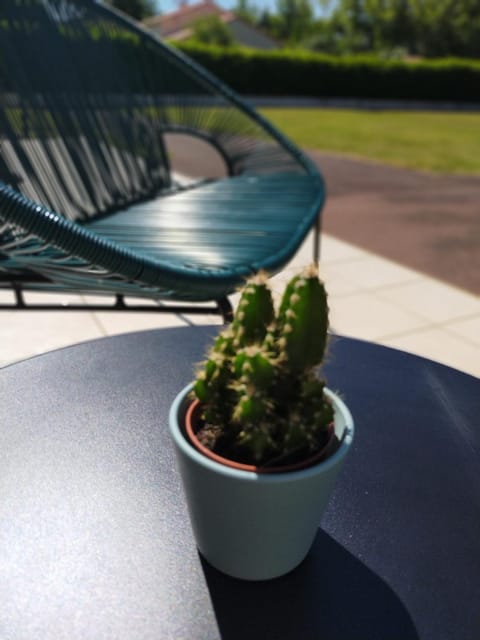 Patio, Garden, Garden view