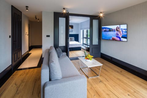 Communal lounge/ TV room, TV and multimedia, Living room, Seating area