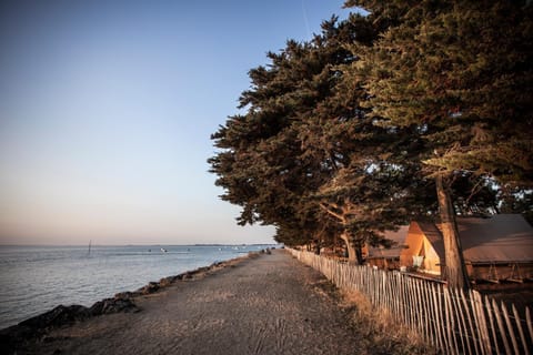 Day, Natural landscape, Beach, Sea view