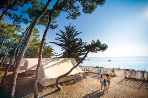 Nearby landmark, People, Natural landscape, Beach, Sea view, group of guests