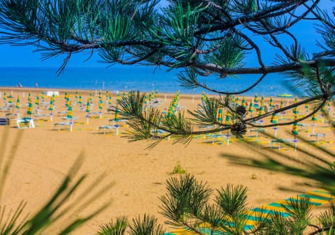 Natural landscape, Beach, sunbed