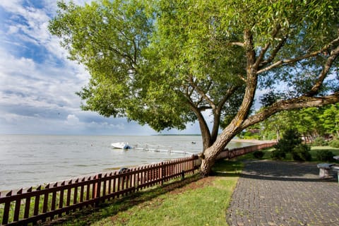 Natural landscape, Lake view