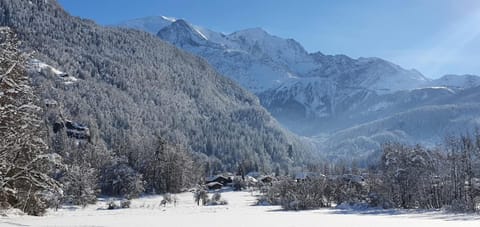 Magnifique chalet dans la vallée de Chamonix Chalet in Les Houches