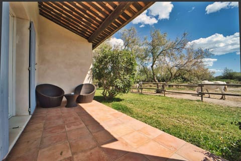 Patio, Garden view