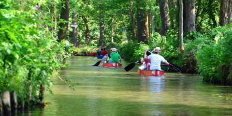 Canoeing, Canoeing