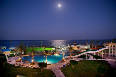 Amphoras Beach Resort in South Sinai Governorate