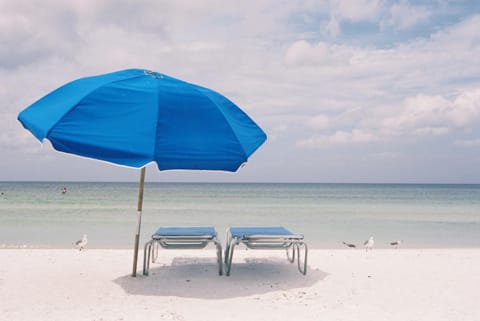 Tropical Beach Resorts - Sarasota Resort in Florida