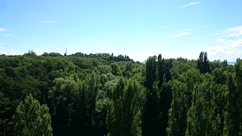 Neptun apartman Wohnung in Balatonszárszó