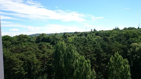 Neptun apartman Wohnung in Balatonszárszó