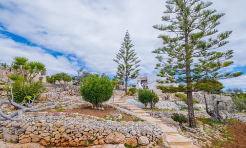 Natural landscape, Garden, Garden view