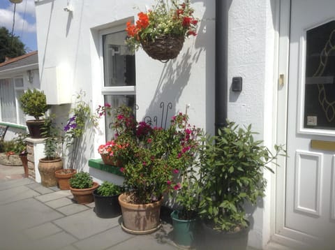 Drakewalls Bed And Breakfast Bed and Breakfast in West Devon District