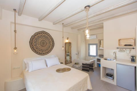 Ampelos Suites Condo in Naxos