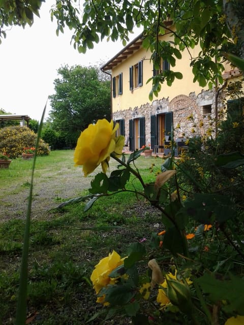 Facade/entrance, Garden view