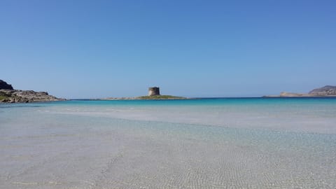 Snorkeling, Beach, Windsurfing, Hiking, Diving, Family