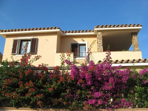 Property building, City view, Garden view, Mountain view, Street view