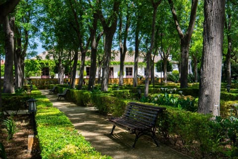 Natural landscape, Garden, Seating area