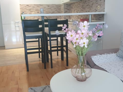 Apartman Srna Apartment in Dubrovnik-Neretva County