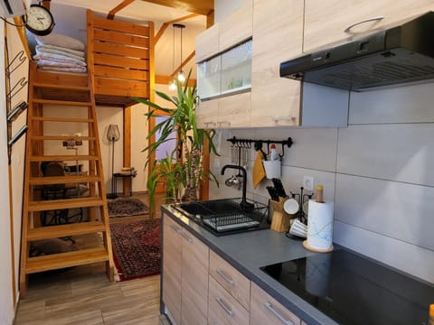 Apartmaji Daniel Apartment in Friuli-Venezia Giulia