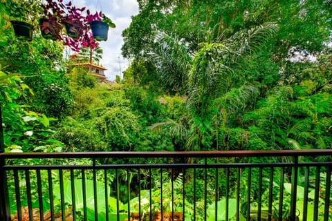 Natural landscape, Balcony/Terrace, Garden view, River view