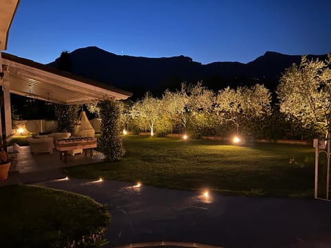 Patio, Night, Garden view
