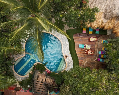 Natural landscape, Bird's eye view, Garden, Swimming pool