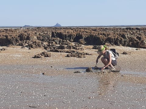 Fishing, Beach