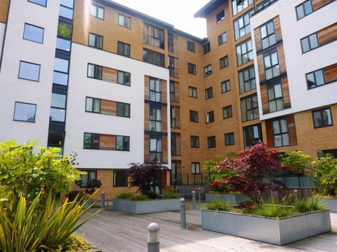 Property building, Garden, Garden view