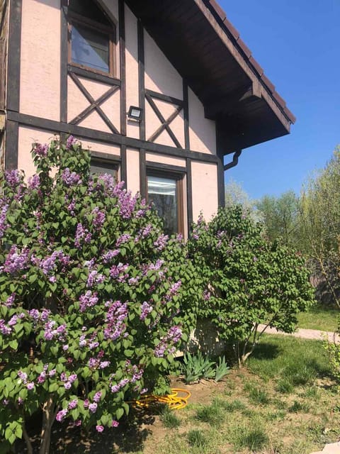 Property building, Facade/entrance, Garden