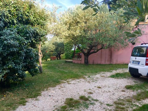 Facade/entrance, Bird's eye view, Summer, Garden, Other, On site