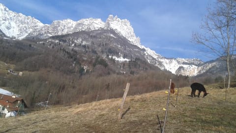 Casa da 2 a 7 posti nelle Piccole Dolomiti House in Trentino-South Tyrol