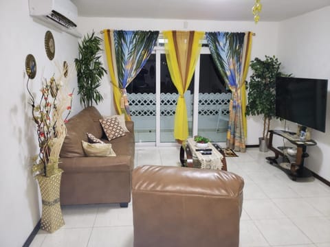 TV and multimedia, Living room, Seating area, air conditioner