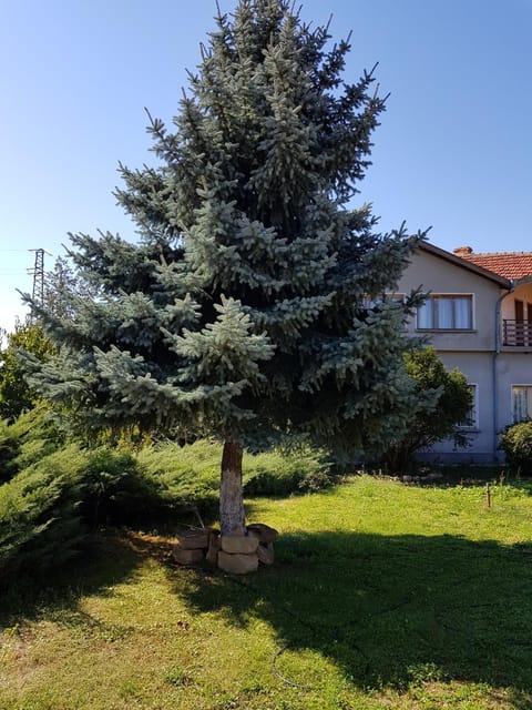 Spring, Summer, View (from property/room), Garden view