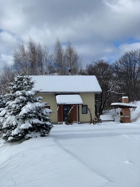 Cabana 7 Brazi Villa in Brașov County