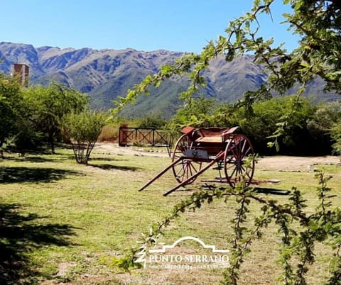 Natural landscape, Garden, Garden view, Garden view, Mountain view