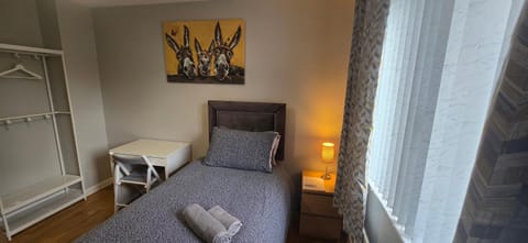 Alexandra Park Town House 223 Vacation rental in Belfast