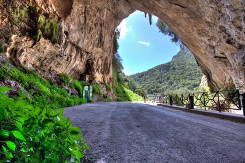 Nearby landmark, Natural landscape