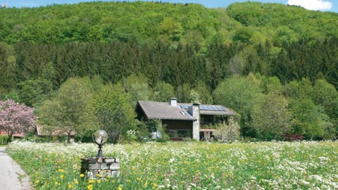 Ferienwohnungen v. Knoerzer-Suckow Apartment in Ruhpolding