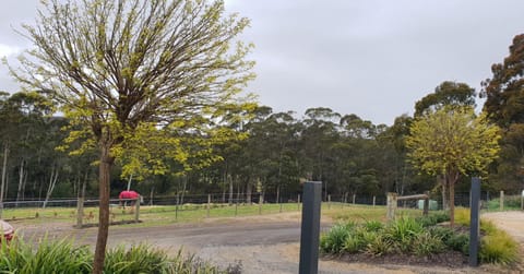 Garden view, Street view