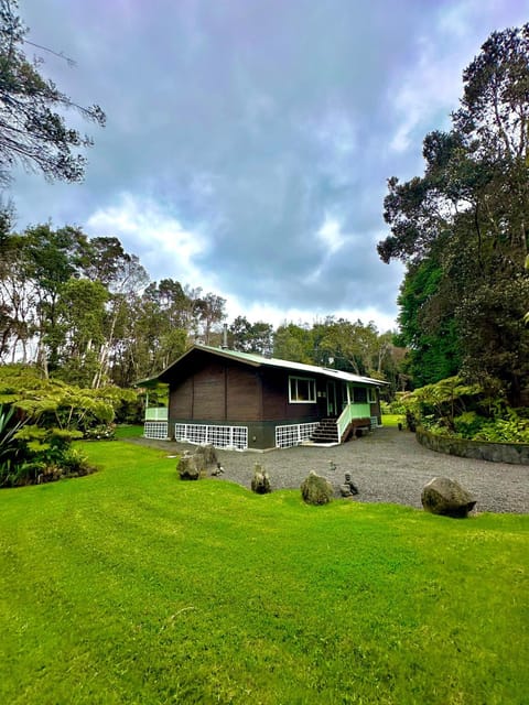 Property building, Spring, Day, Natural landscape, Garden, Garden view