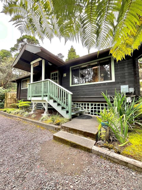 Property building, Spring, Day, Garden, Garden view