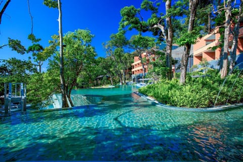 Natural landscape, Garden, Swimming pool