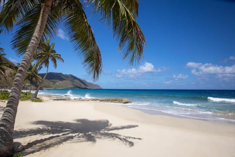 Carambola Beach Resort St. Croix, US Virgin Islands Resort in St. Croix