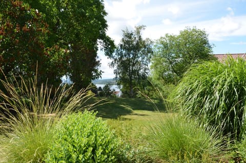 Garden, Garden view, Lake view