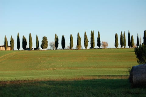 Agriturismo Germogli I Tenuta di Fassia Aufenthalt auf dem Bauernhof in Umbria