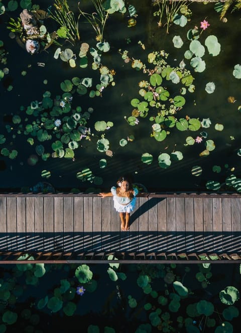 Property building, Bird's eye view, View (from property/room)