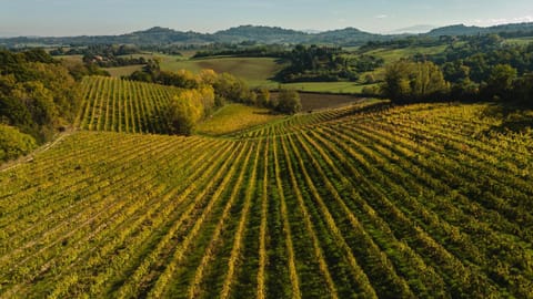 Agriturismo San Gregorio Farm Stay in Umbria
