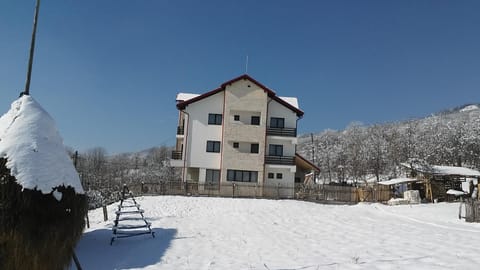Pensiunea Drumul Voievozilor Soggiorno in fattoria in Romania