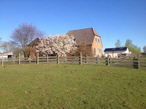 Property building, Area and facilities