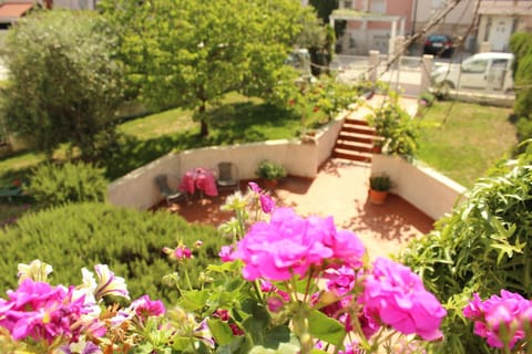 Patio, Garden, Garden view